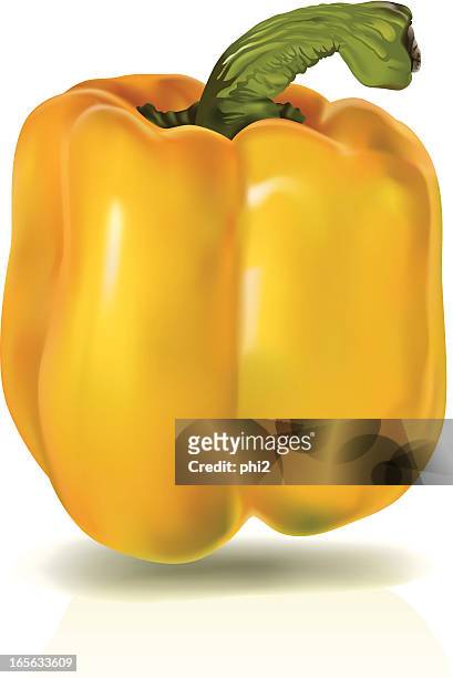 gelbe paprika farbverlauf mesh-vektor - bell pepper stock-grafiken, -clipart, -cartoons und -symbole
