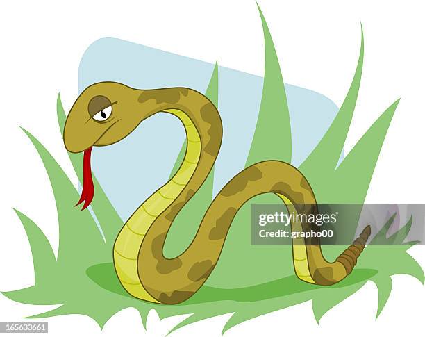 1,614 Animated Snake Photos and Premium High Res Pictures - Getty Images 1,614 Animated Snake Photos and Premium High Res Pictures - Getty Images