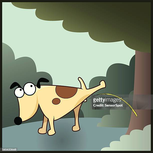 peeing hund - wild dog stock-grafiken, -clipart, -cartoons und -symbole