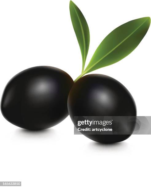 olive black - black olive stock illustrations