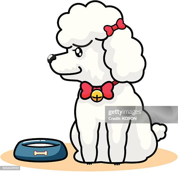 dog cartoon - poodle sitting stock illustrations