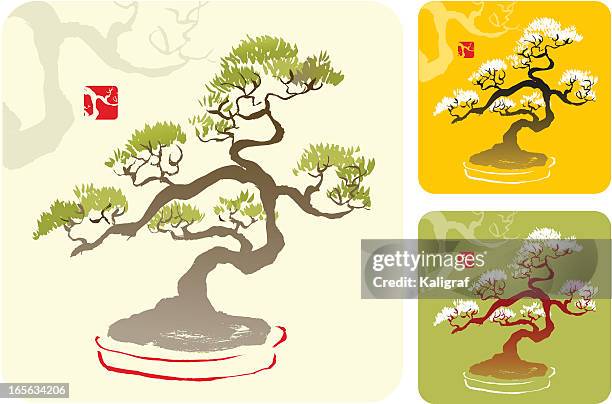 bonsai tree - banzai stock illustrations