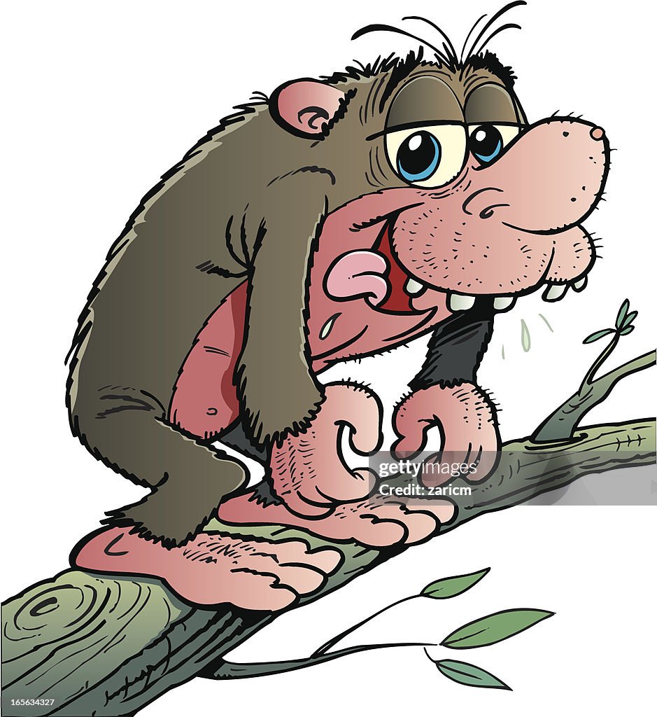 Tasmanian devil