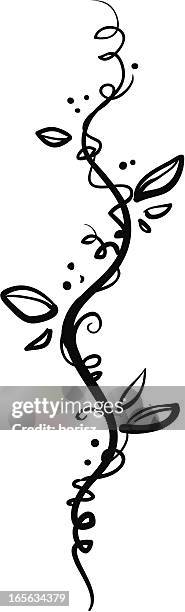 black vine - vine vector stock illustrations