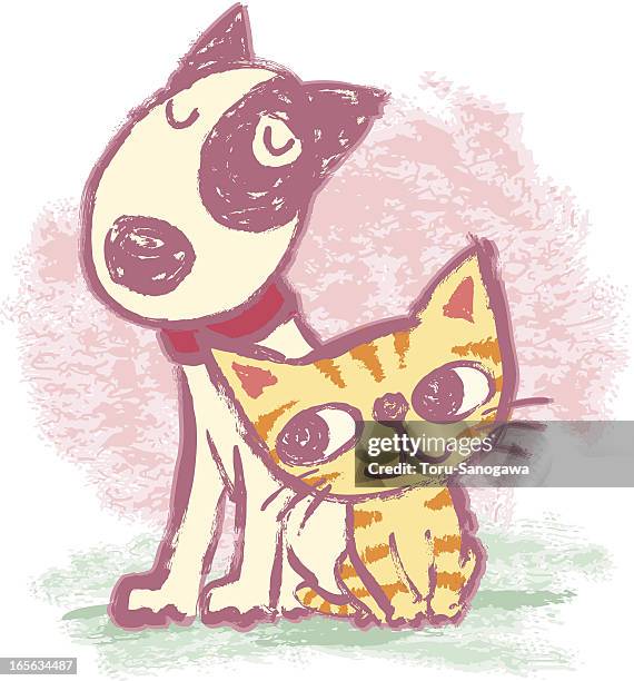 kitten and bullterrier - bull terrier stock illustrations