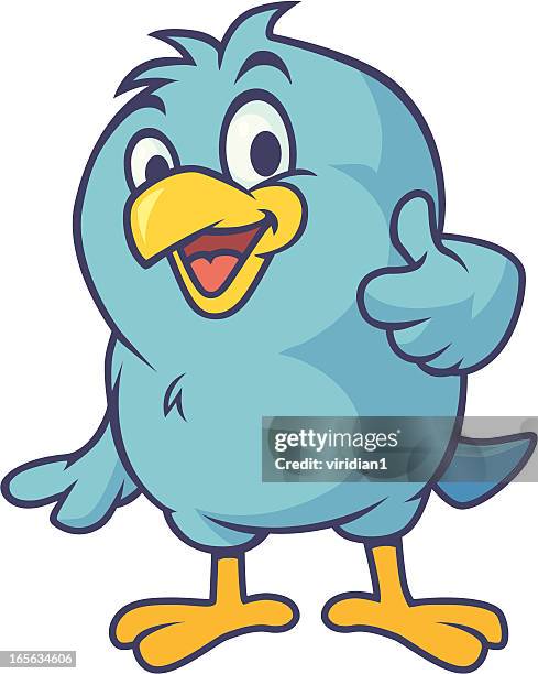 ace bluebird - bluebird bird stock illustrations