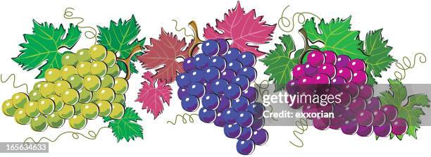 grape - grape leaf stock illustrations