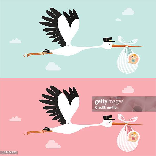 bildbanksillustrationer, clip art samt tecknat material och ikoner med stork - its a girl kort fras