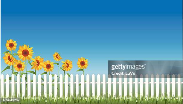 countryside - sunflower stock illustrations