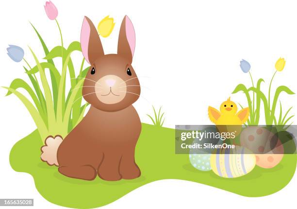 easter bunny and chick - cottontail stock illustrations