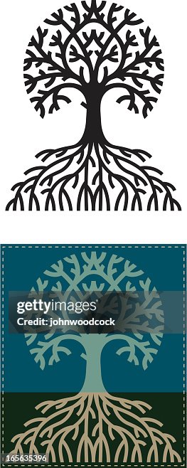 Round Rooty Tree High-Res Vector Graphic - Getty Images