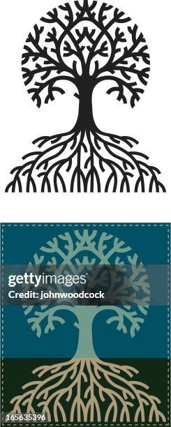 round rooty tree - tree root icon stock illustrations