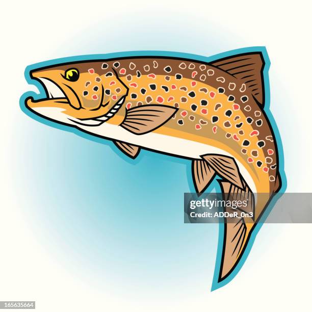 europäische forelle: durchgehender farbe - speckled trout stock-grafiken, -clipart, -cartoons und -symbole