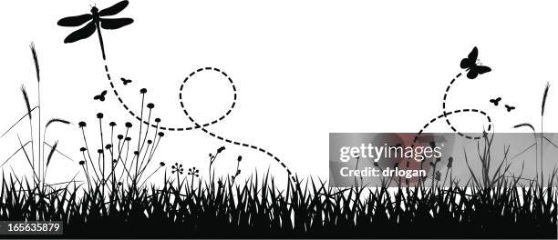 illustrations, cliparts, dessins animés et icônes de prairie d'été - savannah grass