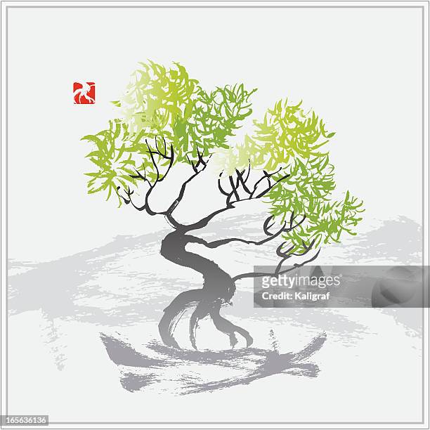 tree in the wind - bonsai tree stock illustrations