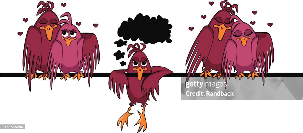 Envious bird
