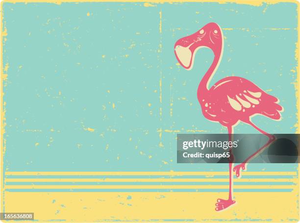 grunge flamingo background - flamingo stock illustrations