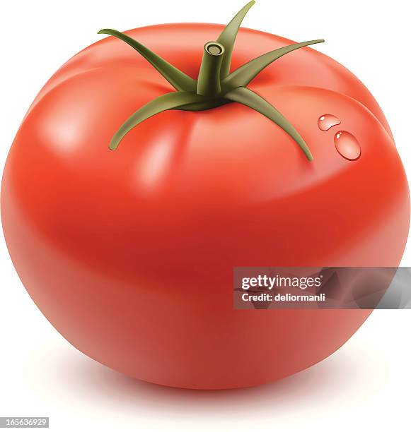 tomato - tomato stock illustrations