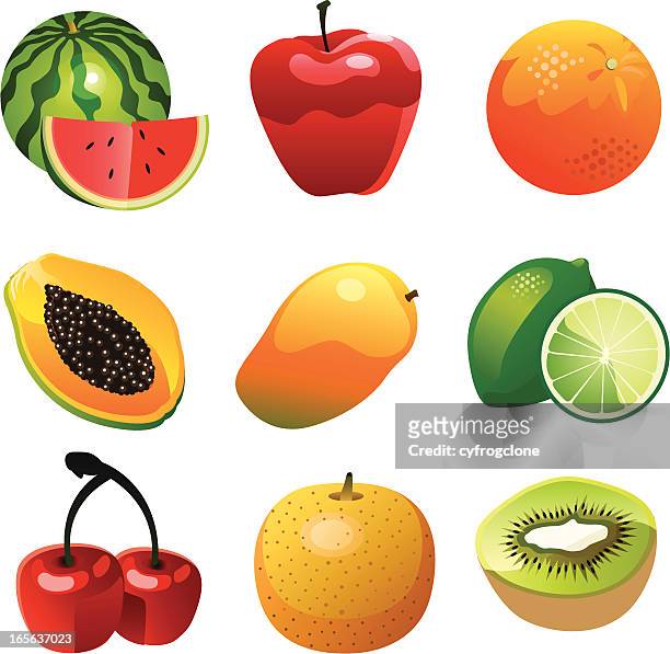 vector fruit collection - mango vector stock illustrations