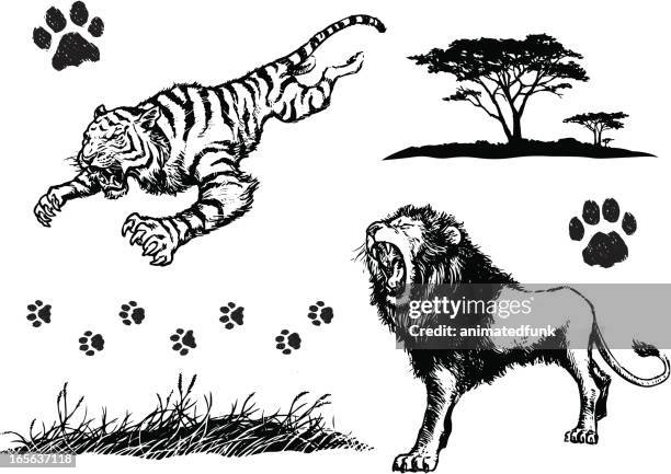 ilustraciones, imágenes clip art, dibujos animados e iconos de stock de felino grande elementos - acacia tree