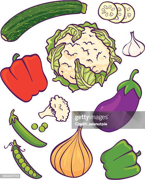 vegetables - courgette stock illustrations