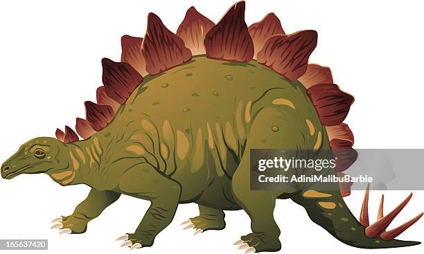 stegosaurus - stegosaurus stock-grafiken, -clipart, -cartoons und -symbole