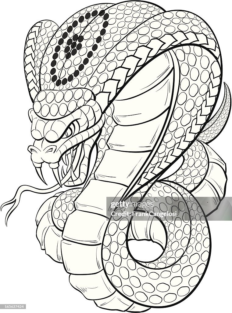 Cobra black and white