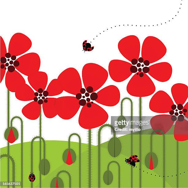 stockillustraties, clipart, cartoons en iconen met illustration of red poppies with a ladybug flying by - bloembed