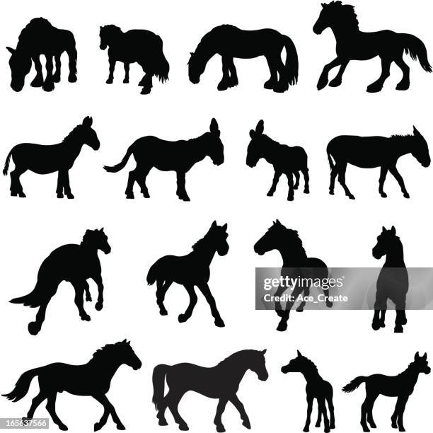 stockillustraties, clipart, cartoons en iconen met horse, donkey and pony silhouettes - werkdier