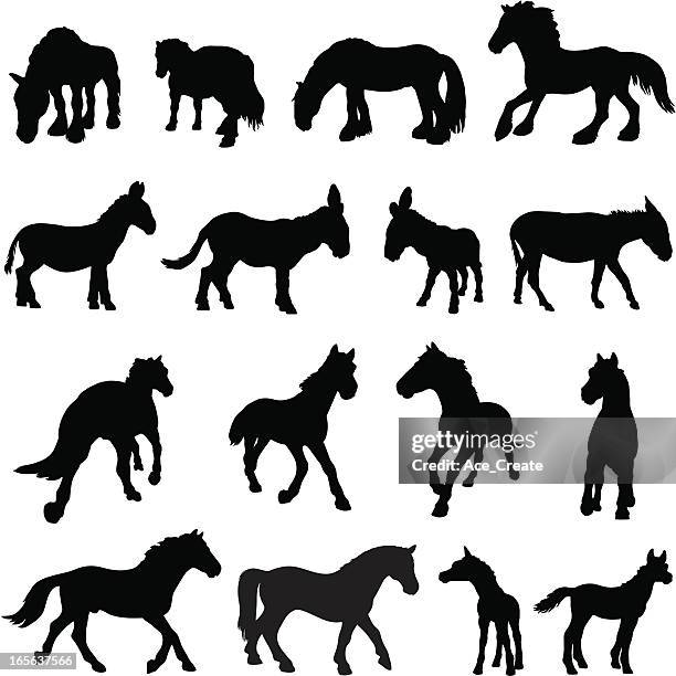 horse, donkey and pony silhouettes - black pony stock illustrations