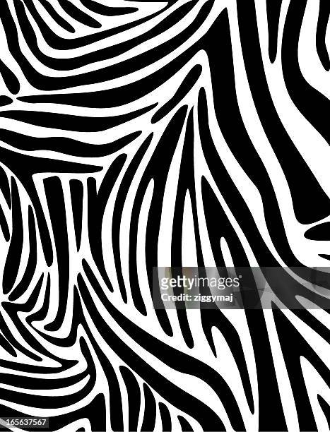 bildbanksillustrationer, clip art samt tecknat material och ikoner med zebra skin pattern - zebratryck