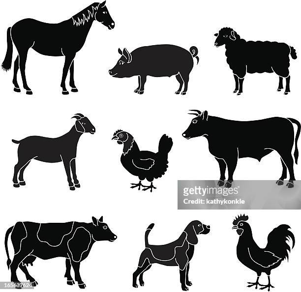 stockillustraties, clipart, cartoons en iconen met black and white farm animals - pig and dog in a farm
