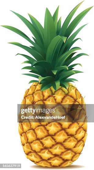 Pineapple Pineapple