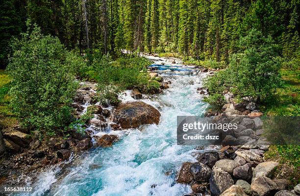 rushing mountain stream - river rapids stock pictures, royalty-free photos & images