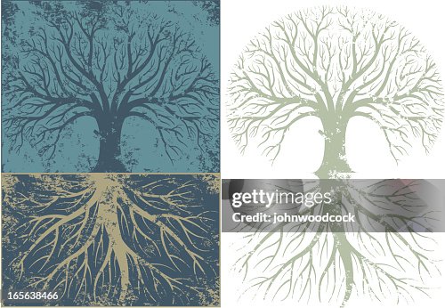 Grunge rooty tree Grunge rooty tree