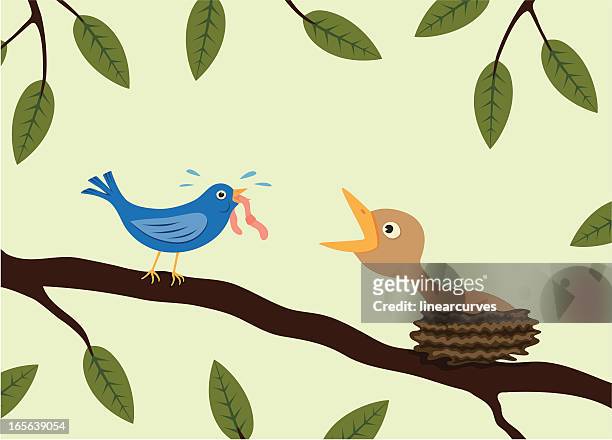 cuckoo - birds nest stock illustrations