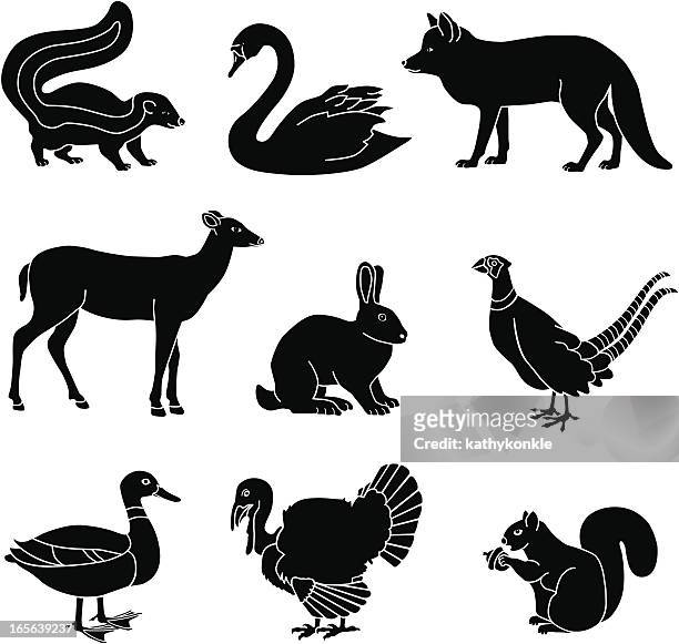 country animals - swan stock illustrations