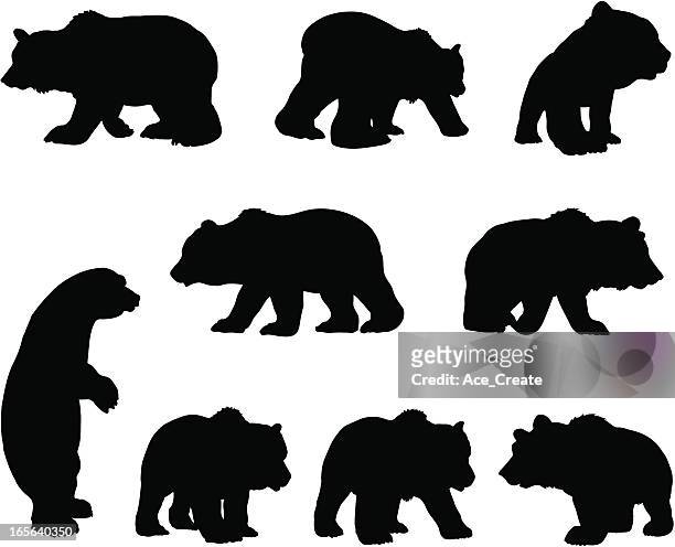 illustrazioni stock, clip art, cartoni animati e icone di tendenza di set di silhouette di orso grizzly marrone - grandangolo