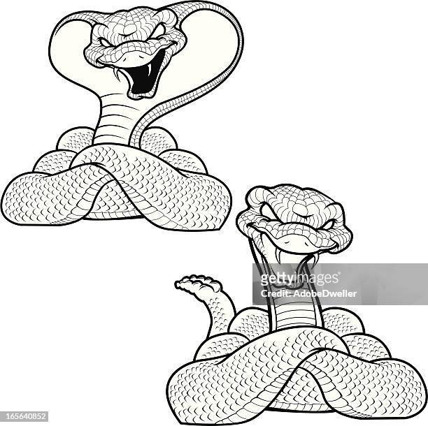 two snakes - naja stock illustrations