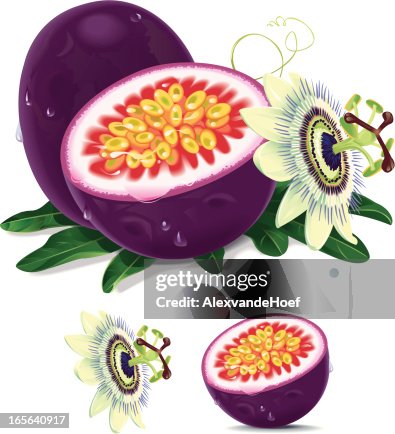 Passion Fruit Passion Fruit