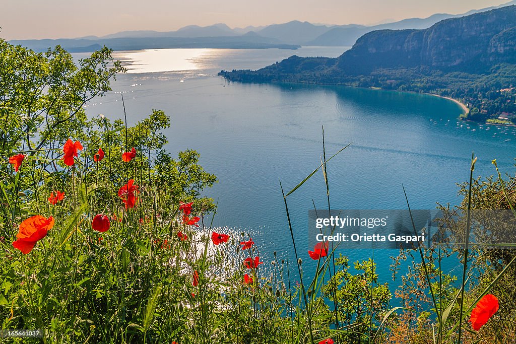Punta San Vigilio on Lake Garda, Italy