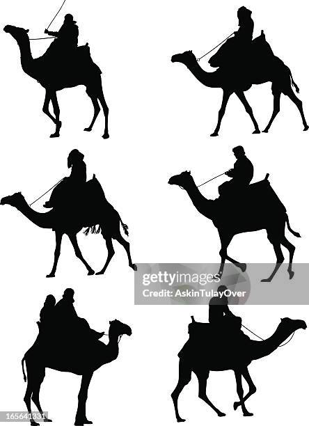 illustrations, cliparts, dessins animés et icônes de camels - chameau