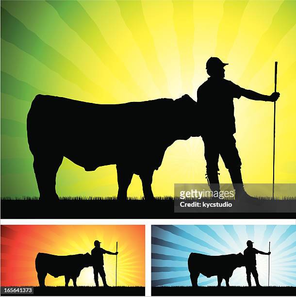 herdsman mit bull - züchter stock-grafiken, -clipart, -cartoons und -symbole