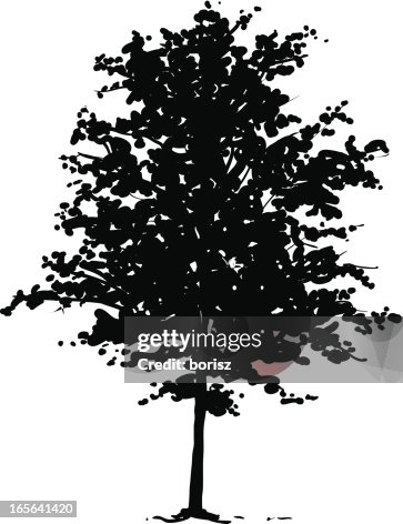 Tree silhouette Tree silhouette