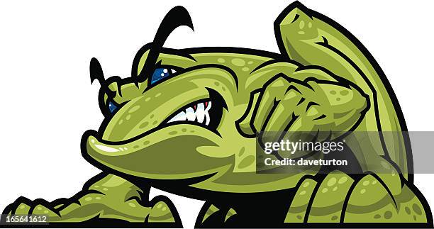 bullfrog mascot - giant frog stock illustrations