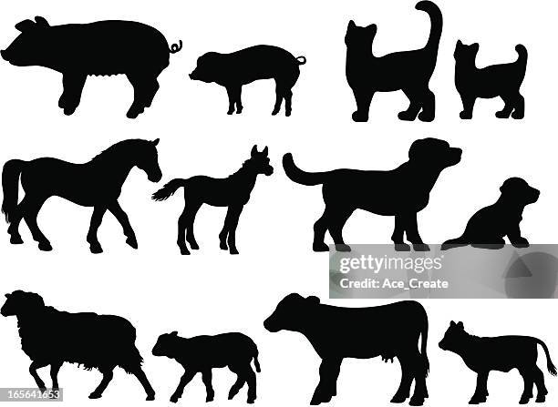 illustrazioni stock, clip art, cartoni animati e icone di tendenza di fattoria animali giovane bambino con silhouette - gattini appena nati