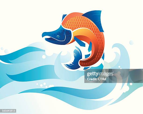 jumping salmon - salmon jumping stock illustrations