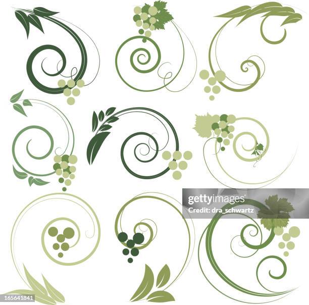 7 107点のつる草イラスト素材 Getty Images 7 107点のつる草イラスト素材 Getty Images