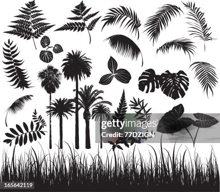 Foliage elements Foliage elements