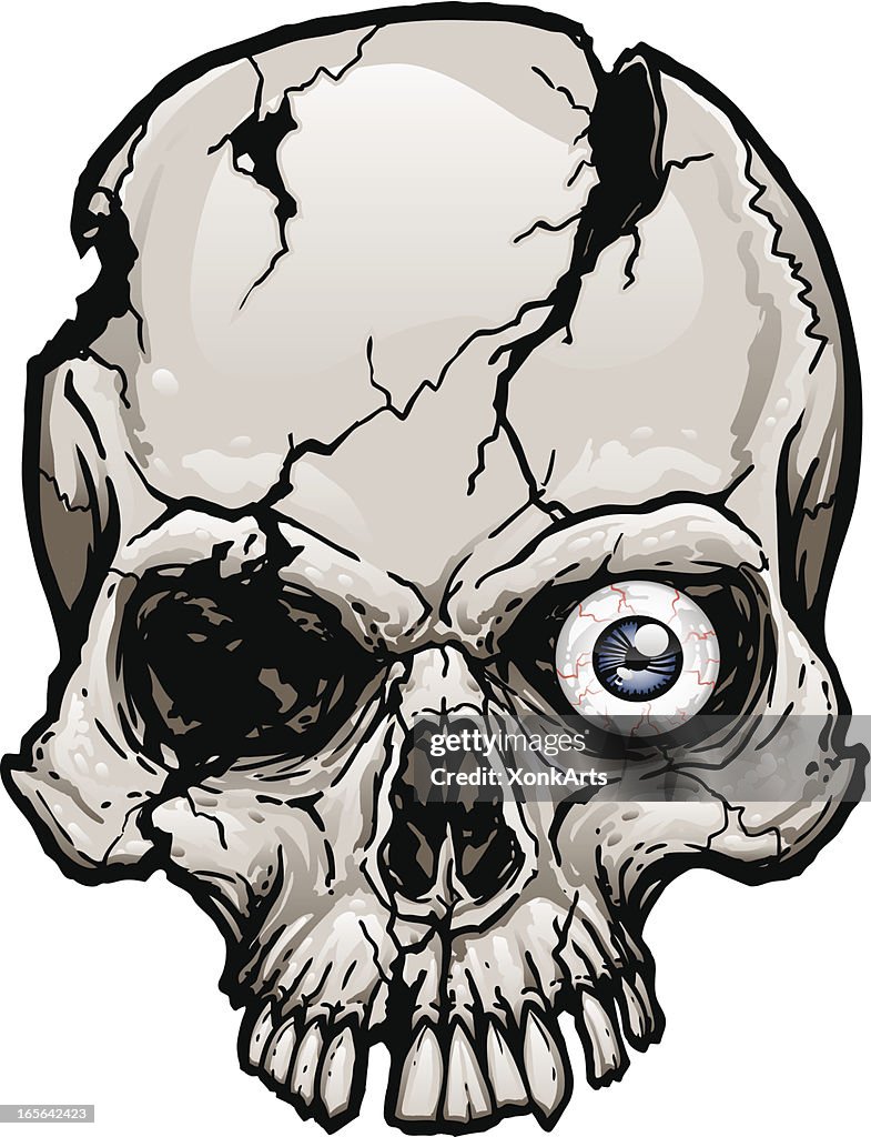 Damaged Skull